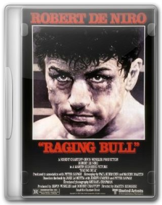 Capa do Filme Touro Indomável