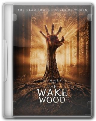 Capa do Filme Despertar dos Mortos